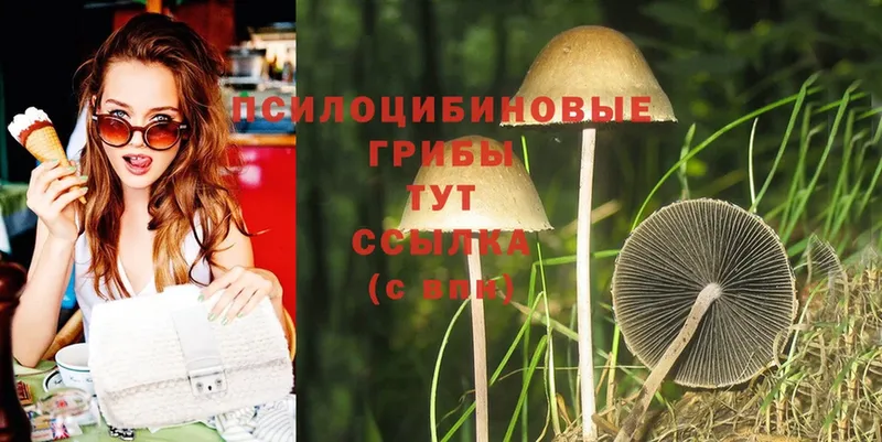 ссылка на мегу   наркошоп  Лебедянь  Псилоцибиновые грибы MAGIC MUSHROOMS 